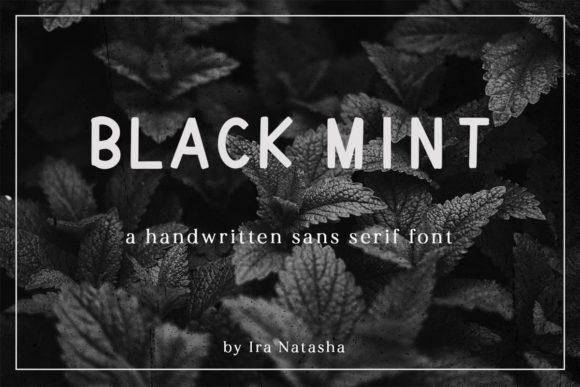 Black Mint: A Minimal Sans Serif Font for Modern Editorial Design
