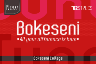 Bokeseni College for a Polished Brand Look