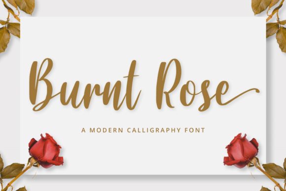 Burnt Rose: A Bold Handwritten Font for Modern Web Design