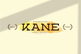 Kane: A Clean Slab Serif Font for Creative Makers