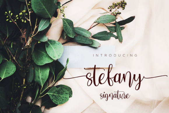 Stefany Signature: A Timeless Script Font for Branding and Design